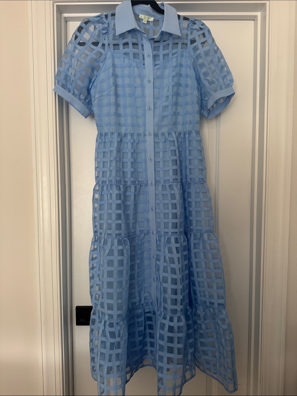 Jade Light Blue Sheer Grid Button-Front Dress